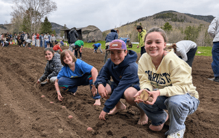 Students plant potato seeds in a field.