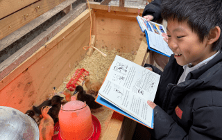A student reads his book to ducklings in their enclosure.